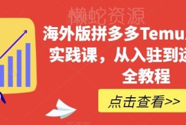Temu从零到一实操课程 从入驻到运营全流程新手入门指南