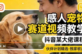 抖音感人宠物赛道视频教学 零基础学会伙伴计划精选收益玩法
