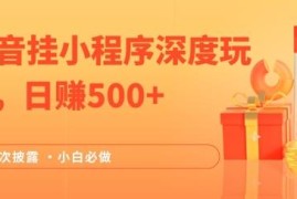 2024抖音挂载小程序赚钱实操玩法 小白可做的稳定副业项目