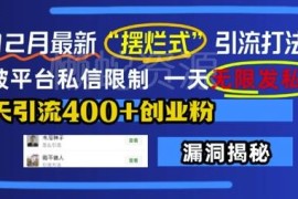 2024年12月最新小红书摆烂式引流法 突破私信限制引流创业粉
