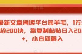冷门文章阅读平台赚钱玩法 1万阅读200元新手可轻松上手