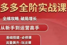 拼多多全阶运营实战课程 从新手入门到店铺破局增长全攻略