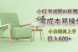 2024小红书减肥AI新赛道项目解析 零成本易操作小白可上手