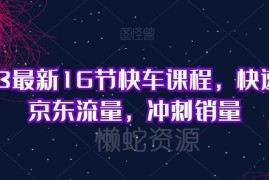 2023最新京东快车16节实操课程 助力商家提升流量冲刺销量