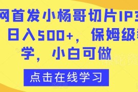 小杨哥切片IP3.0保姆级教程 零基础小白可上手实操日入500+