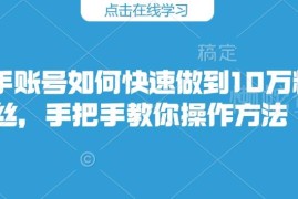 快手账号从零做到10万粉丝教程 新手可落地的实操运营方法