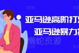 亚马逊高阶运营打法教程 选品广告优化全流程实操课程