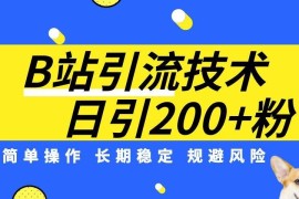 B站精准引流实操教学 低门槛日引200精准粉避坑指南
