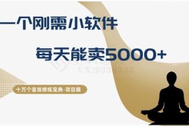 售卖多开类刚需小软件日赚5000+ 低门槛小众副业实操拆解
