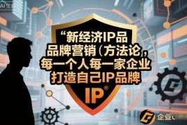 新经济IP品牌营销方法论 个人与企业IP打造实操课程