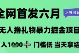 2024年6月无人直播撸音浪掘金项目 低门槛小白可做当日获收益