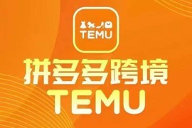 2024最新TEMU拼多多跨境教程 开店运营选品全流程实操指南