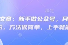 2025新手做公众号月涨数千粉实操方法 易上手附变现思路