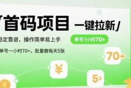 首码一键拉新项目实操说明 操作简单单号小时收益70+可批量做