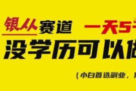 银从证书虚拟资料低门槛副业实操全教程 附配套资源合集
