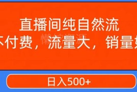 视频号纯自然流直播间实操攻略 零付费撬动高成交月入15000+
