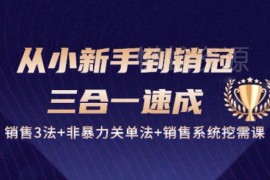 27节三合一销售系统课程 从新手到销冠开单挖需实用技巧