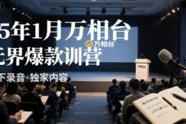 2025年1月万相台无界爆款特训营线下录音及配套资料合集