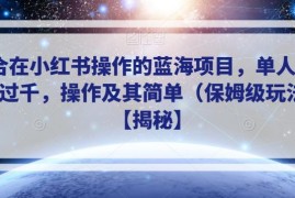 小红书可操作蓝海虚拟资源项目 单人低门槛日入过千实操教程