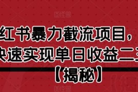 小红书截流项目核心玩法揭秘 新手入门操作可实现单日稳定增收