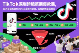 TikTok深圳跨境第2期实战课 20天吃透TikTok Shop运营与变现全流程