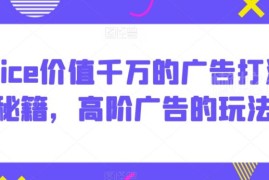 高阶广告投放玩法详解 Alice价值千万的广告打法核心秘籍