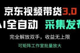 2025京东视频带货3.0玩法 AI全自动采集发布操作教程