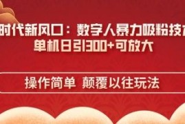 AI数字人多平台涨粉引流实操 小白可复制快速涨粉变现教程