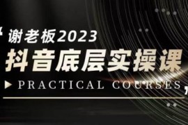 2023蟹老板抖音底层实操课 掌握短视频直播IP打造实操方法