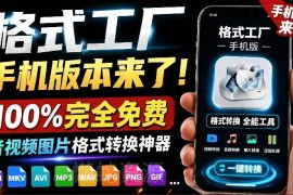 安卓版格式工厂官方免费工具 音视频图片格式转换免登录使用
