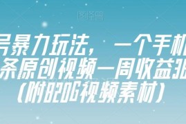 适合新手的视频号原创玩法 手机几分钟出片附820G素材资源