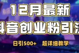 2024年12月抖音日引500+创业粉 规避风控情感引流实操教程