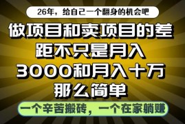 做项目与卖项目收入差距解析 互联网创业盈利底层逻辑揭秘