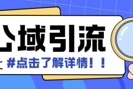 全公域平台引流创业粉模板玩法 支持矩阵操作日引500+精准粉