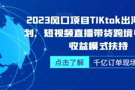 2023TikTok出海掘金实操教程 跨境短视频直播带货运营全指南