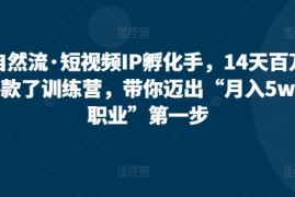 14天自然流短视频IP孵化手训练营 从0学爆款打造开启高薪新职业