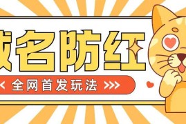 0基础域名防红搭建教程 可规避封禁风险还能对外接单盈利