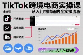 TikTok跨境电商实操全流程课 从入门到精通全环节运营教学