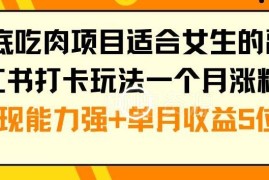 适合女生的年底小红书打卡副业 低门槛操作涨粉快变现收益高