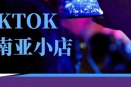 TikTok东南亚跨境小店运营培训课 零基础学TK店铺实操方法