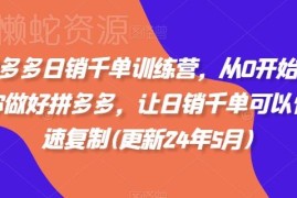 2025年2月更新 拼多多从0入门到日销千单系统运营教程