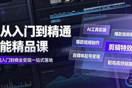 AI从入门到精通全能教程 含工具实操视频制作运营变现职场技能