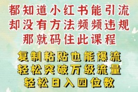 小红书复制粘贴运营玩法 减肥类账号一周破万级流量池实操指南