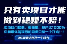 做项目不如卖项目稳赚 低门槛网创盈利逻辑及实操解析