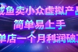 闲鱼小众虚拟产品售卖实操教程 低门槛项目单店月利可达万元