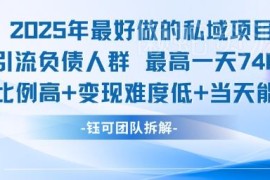 2025低难度私域项目：引流负债人群 单日最高变现可达7400元
