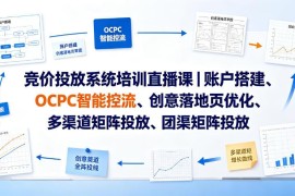 竞价投放系统培训直播课 账户搭建OCPC优化及副业变现全阶实战