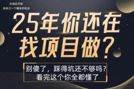 2025年还在盲目找网赚项目？搞懂这个盈利逻辑少走3年弯路