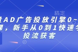 巨量AD广告投放0到1系统教程 新手快速掌握投流获客技巧