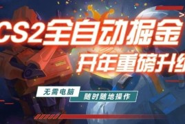 CSGO饰品自动捡漏项目详解 无需玩游戏即可稳定获取收益